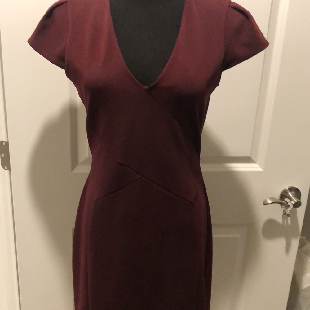 Burgundy Fitted V Cut Dress